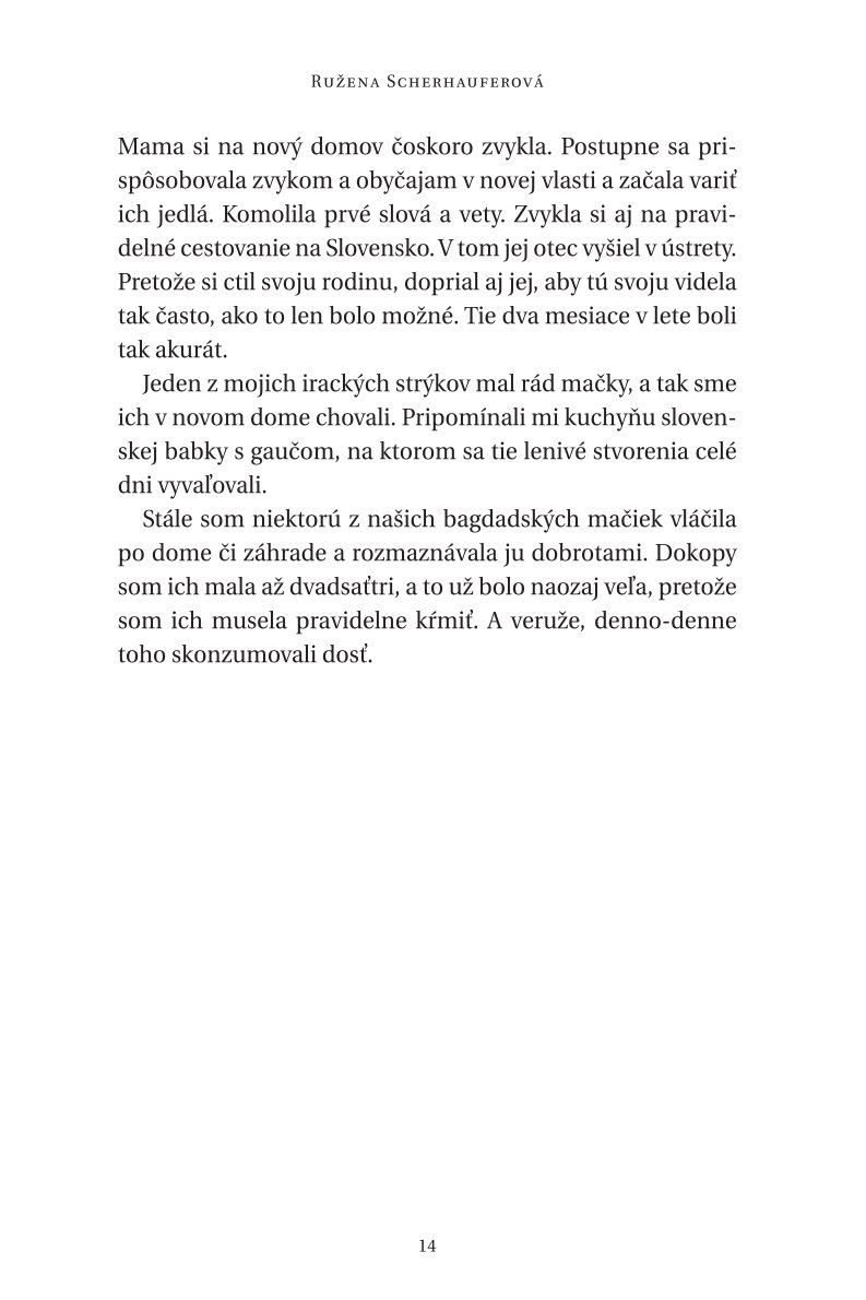 Láska z Bagdadu