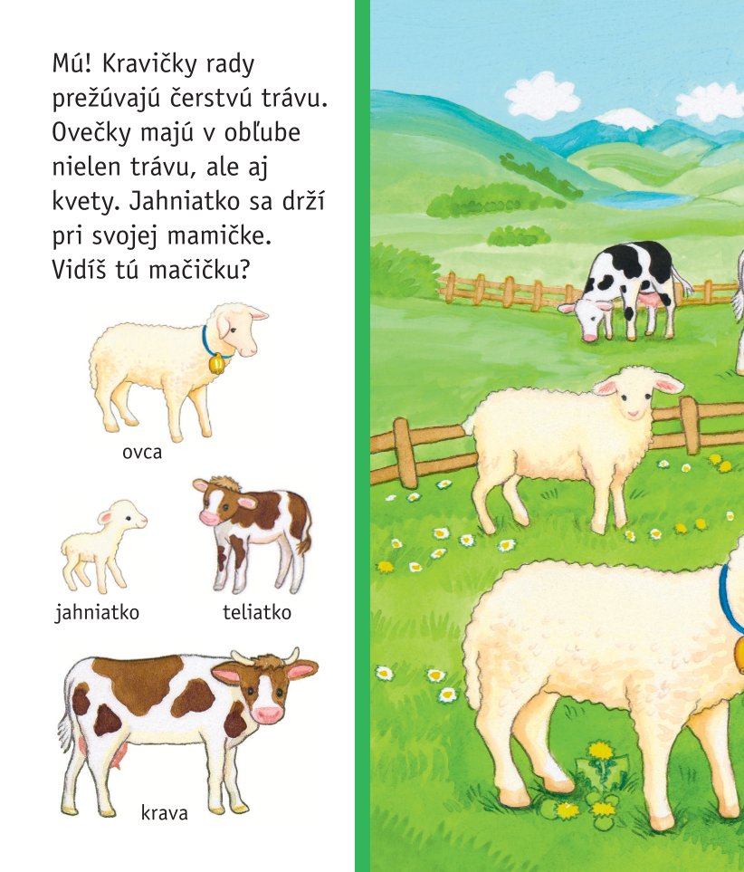 Moja prvá knižka - Nájdi a ukáž - Moje obľúbené zvieratká