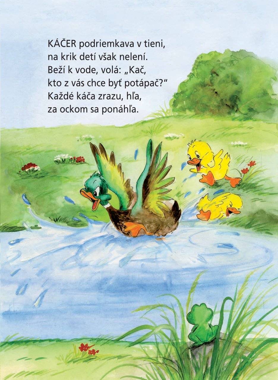 Zvieratká na dvore