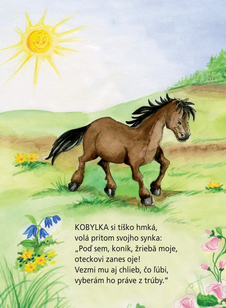 Zvieratká na dvore